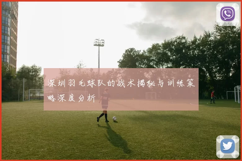 深圳羽毛球队的战术揭秘与训练策略深度分析